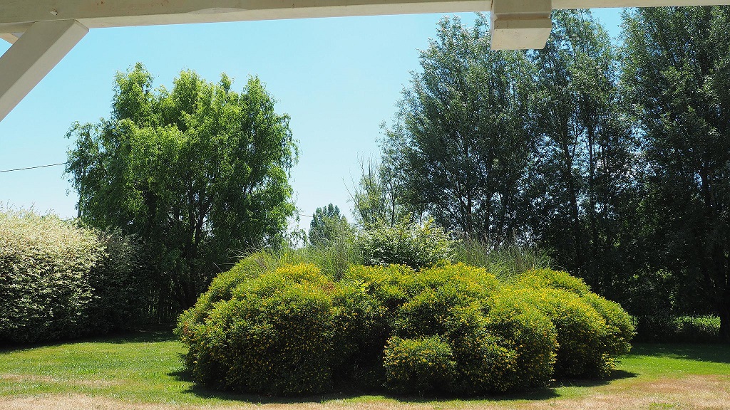 Chez Marie-Paule et Jean-Pierre, Soustons - photo 7