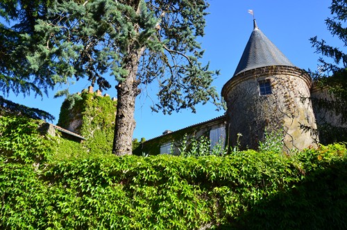 Circuit Le confluent du Lot et de la Garonne, Aiguillon - photo 2