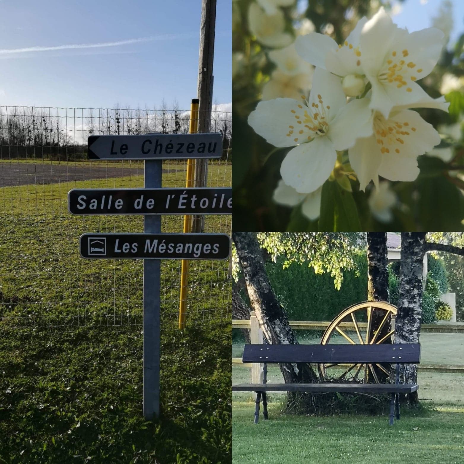 Chambres d'hôtes "Les Mésanges", Combrand - photo 6