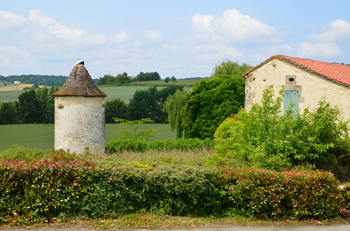 Circuit vignes et vergers en Duraquois, Duras - photo 33