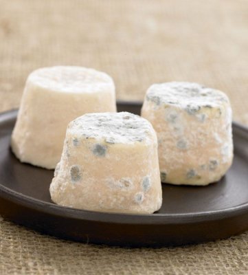 Fromagerie Seigneuret SARL