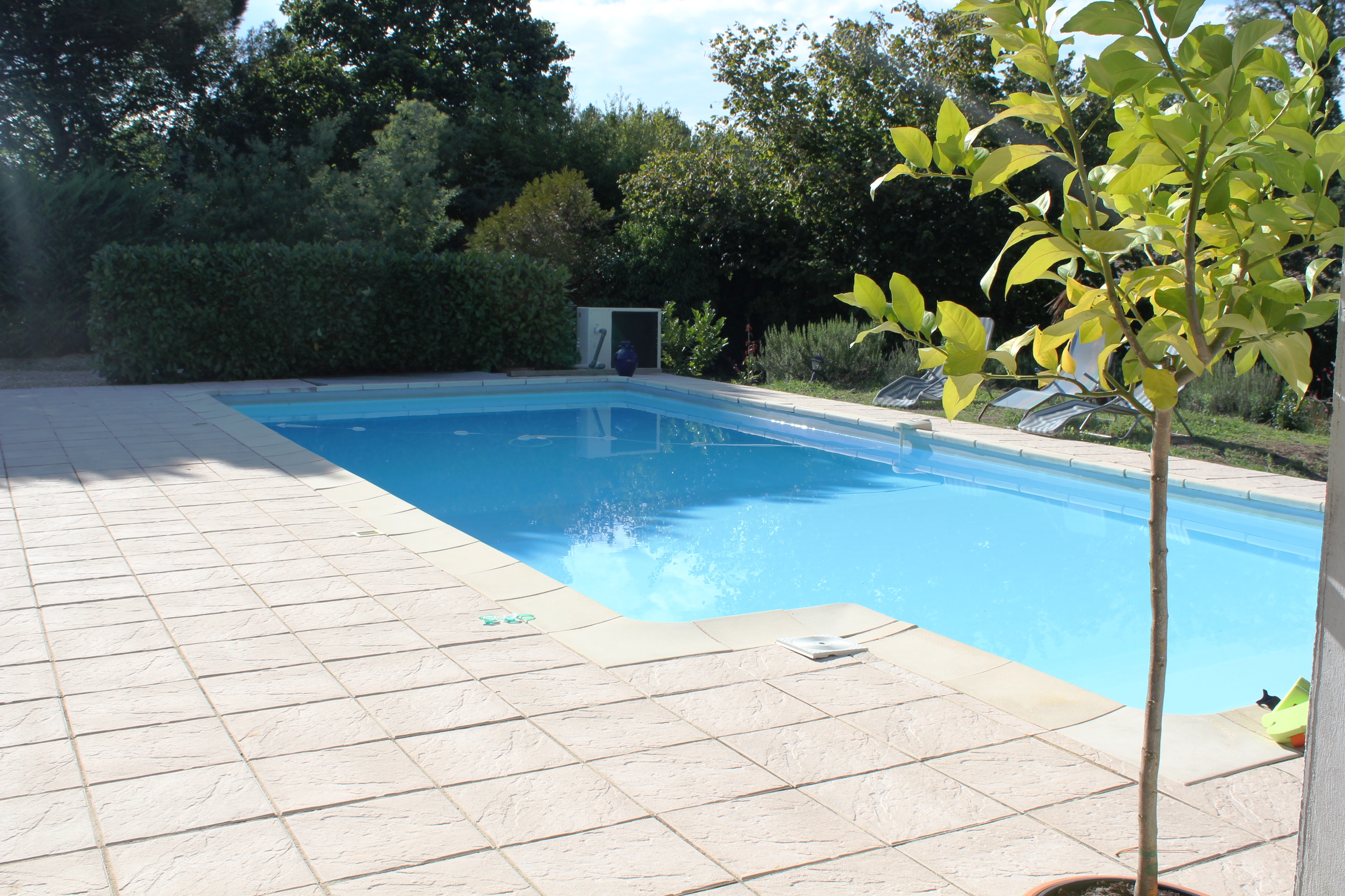 Les Bambous, Taller - photo 4