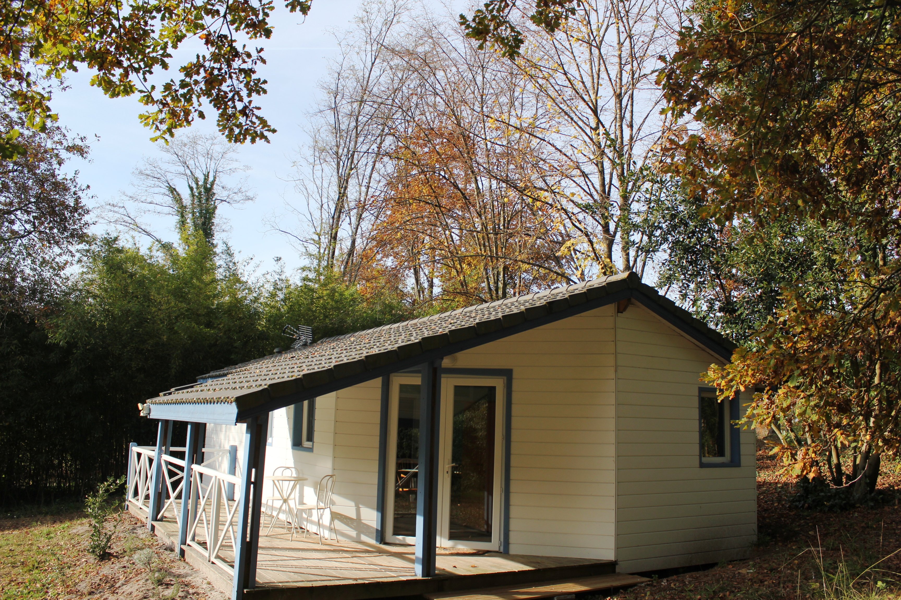 Les Bambous, Taller - photo 11