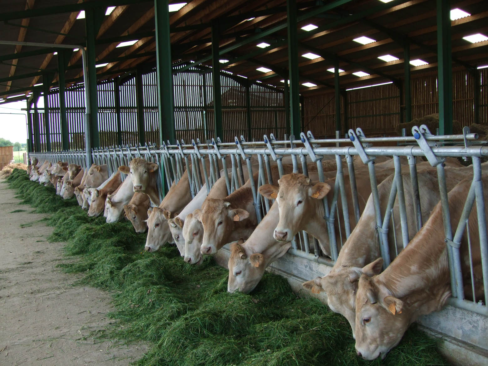 Viandes et terrines de la ferme Dumoulin — photo 2