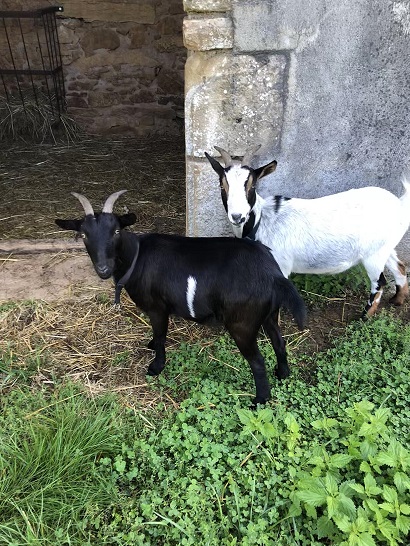 La colline aux sources, Terrasson-Lavilledieu - photo 4