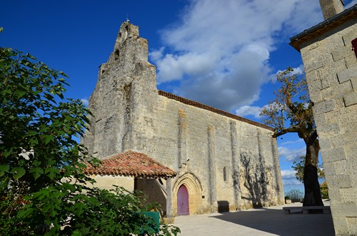 Circuit vignes et vergers en Duraquois, Duras - photo 16