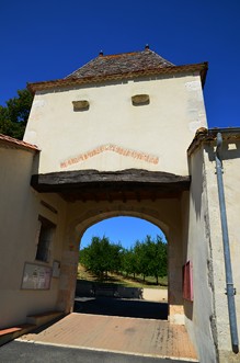Circuit vignes et vergers en Duraquois, Duras - photo 32
