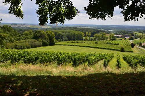 Circuit vignes et vergers en Duraquois, Duras - photo 27