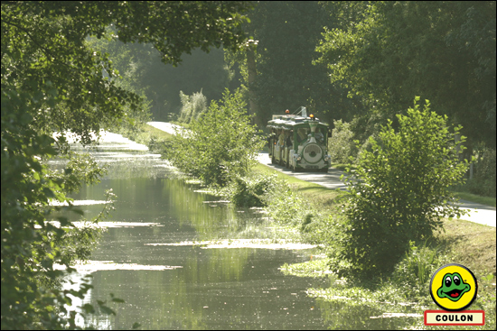 Le Petit Train du Marais