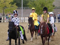 Maison du Cheval — photo 2