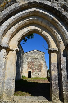 Circuit vignes et vergers en Duraquois, Duras - photo 29