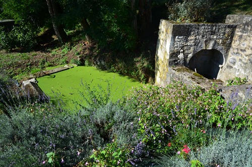 Circuit vignes et vergers en Duraquois, Duras - photo 30