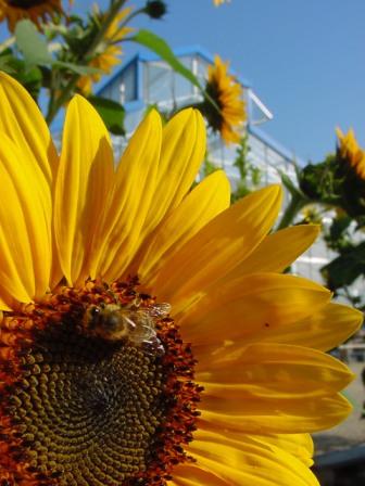 Val de Flore, Saint-Pardoux-Soutiers - photo 5