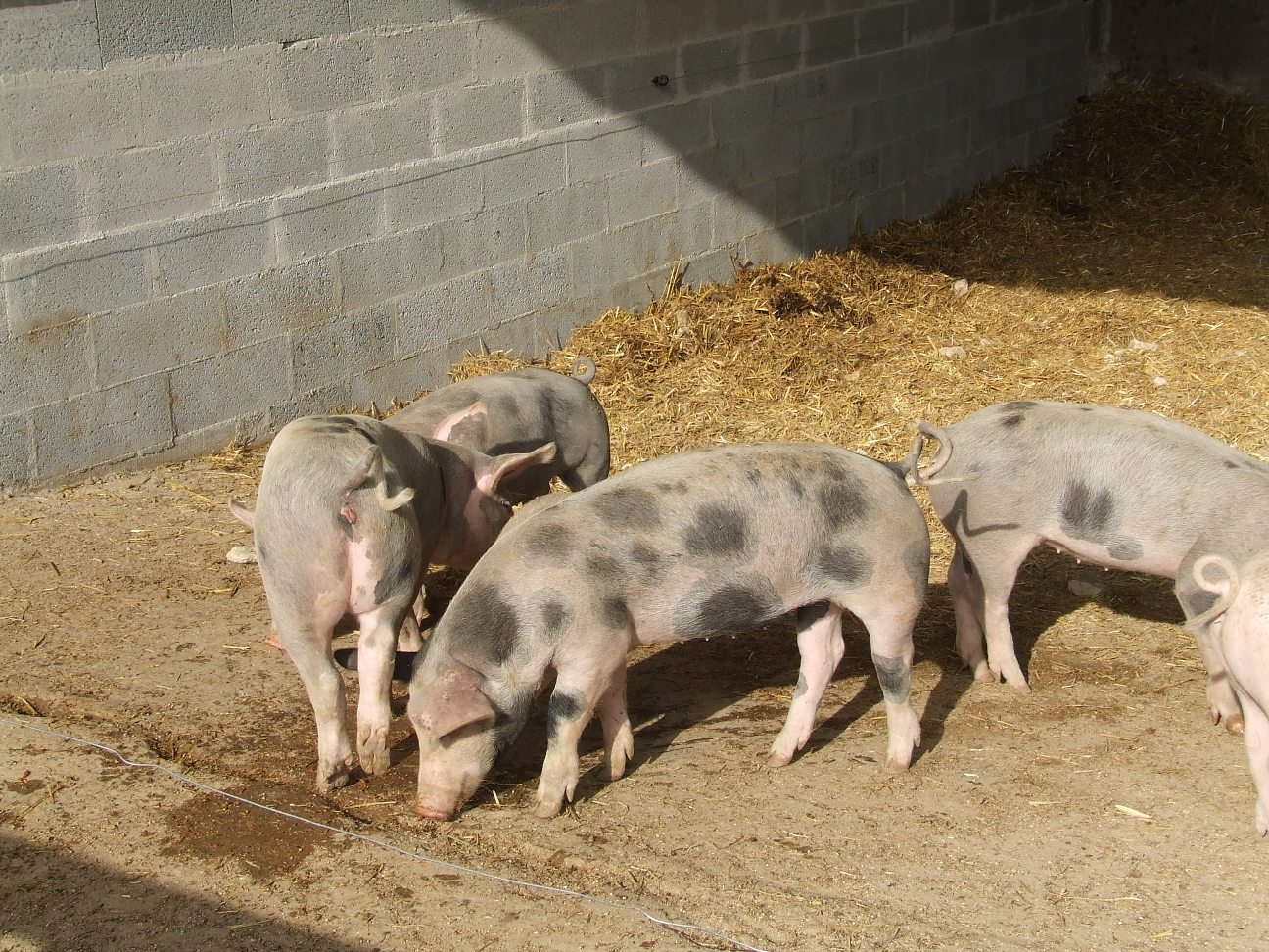 La Ferme de La Mantellerie