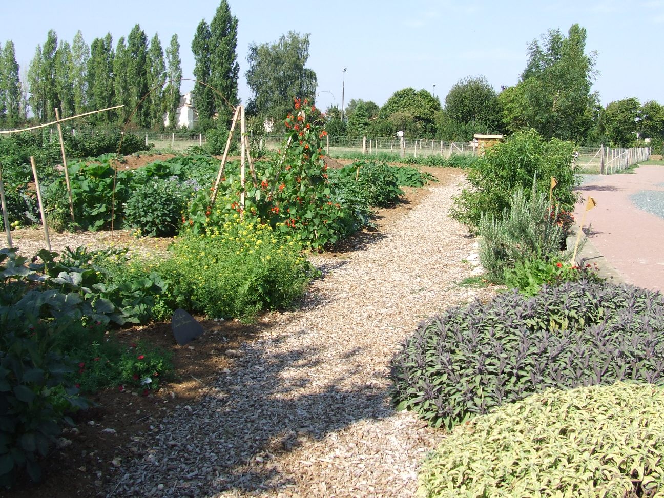 La Ferme de La Mantellerie, Saint-Pompain