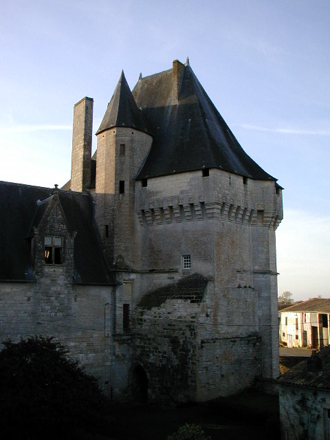 Château de Cherveux, Cherveux - photo 5
