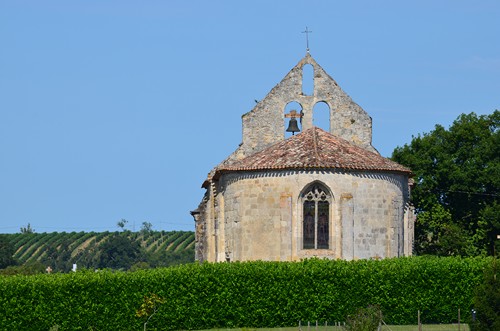 Circuit vignes et vergers en Duraquois, Duras - photo 20