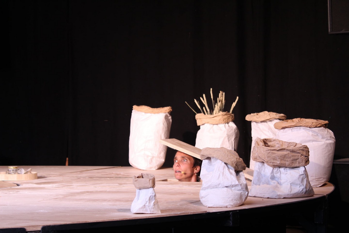 Lacaze aux Sottises, Orion - photo 4