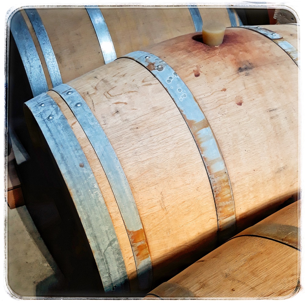 Brasserie Le Père l'Amer - La MIFA