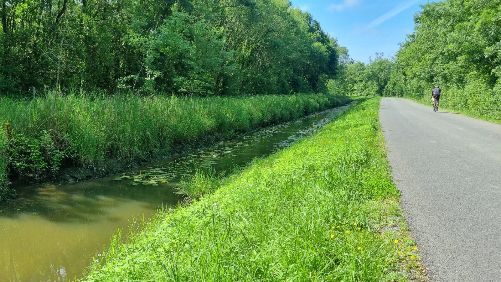 Boucle de la Bugonne - photo 2