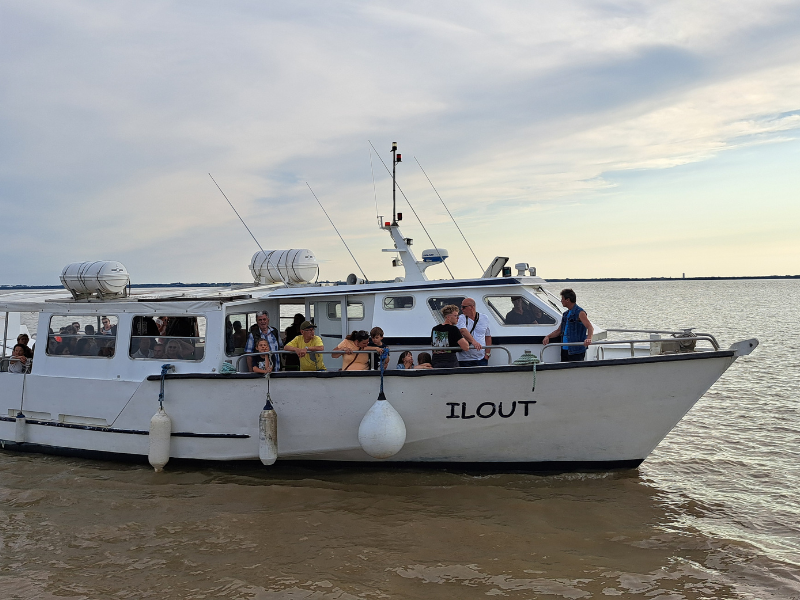 Croisière du dimanche sur l'estuaire à Terres d'Oiseaux, Braud-et-Saint-Louis