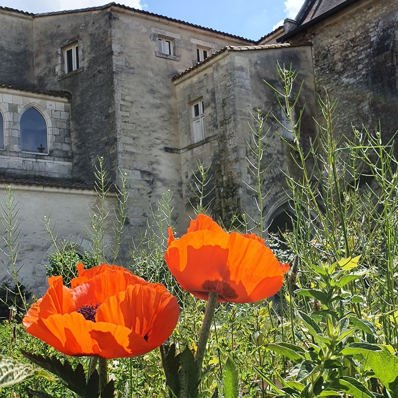 Commanderie des Antonins, Saint-Marc-la-Lande - photo 2
