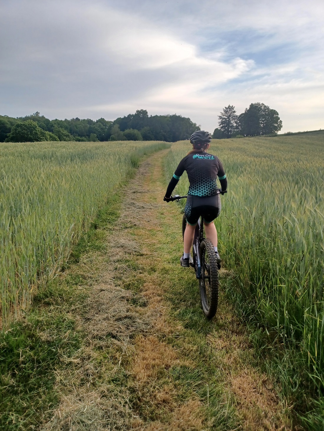 Roue Léo Vert - Location de vélos électriques, Réparation, Vente