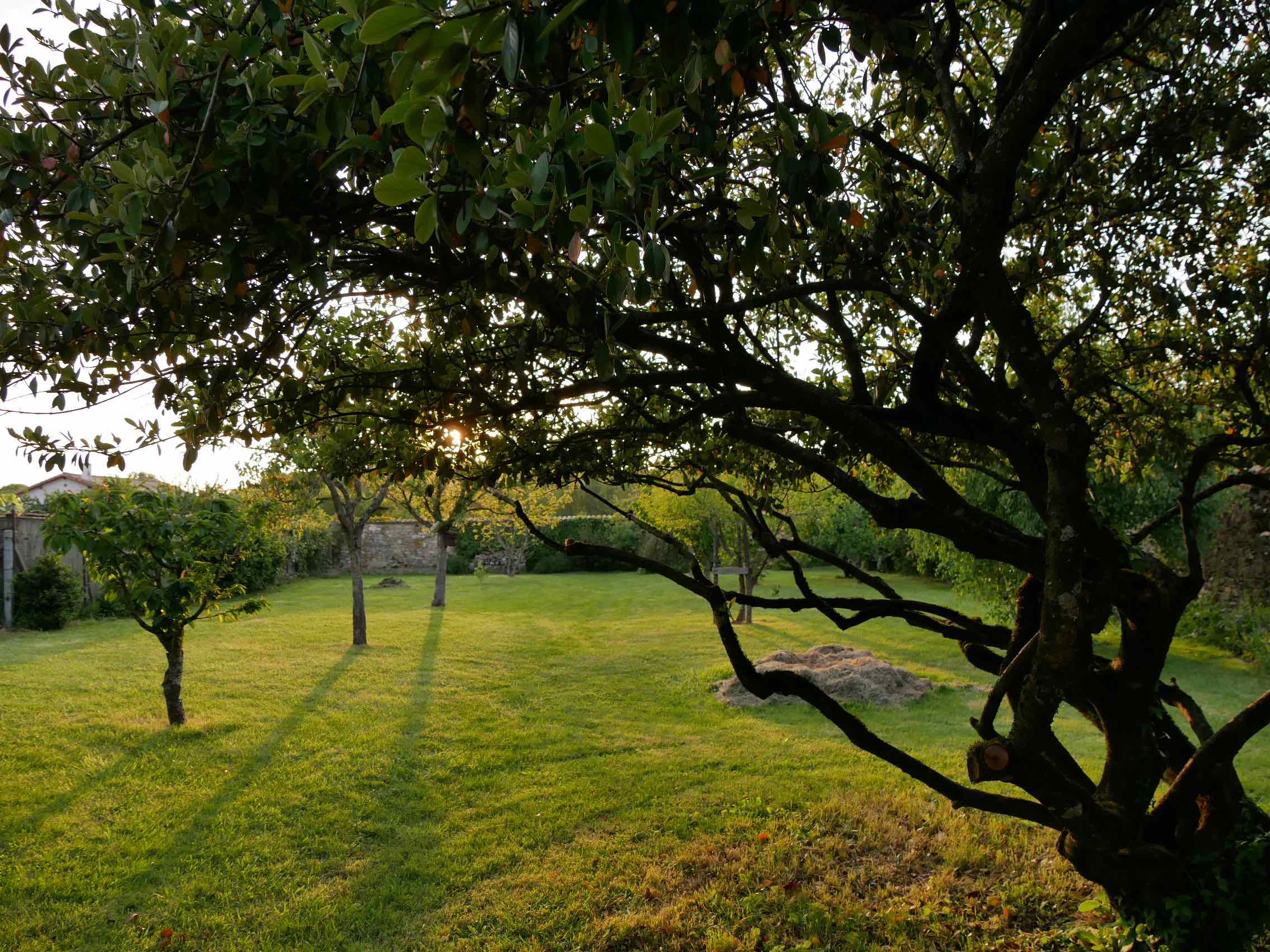 Gîte "L'épicerie de Madeleine", Saint-Marc-la-Lande - photo 12