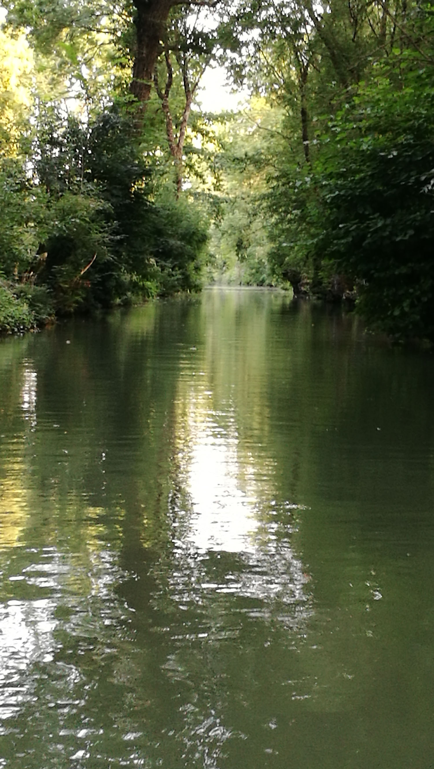 Arçais Venise Verte Loisirs, Arçais - photo 9