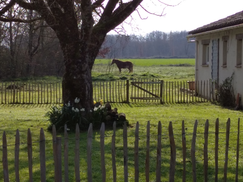 Gîte de la Ferme de Bourgade, Bournel - photo 10