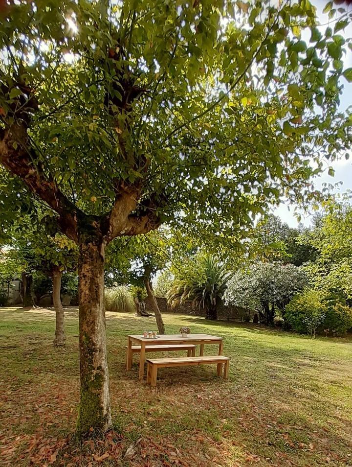 Le gite du Chateau, Monget - photo 3