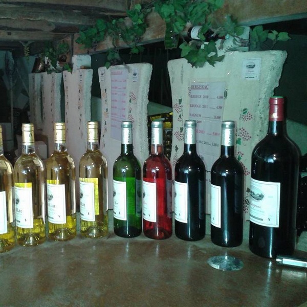 Clos le Casteleau - photo 4