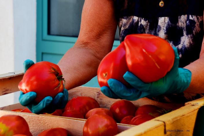 Marché traditionnel, Duras - photo 16