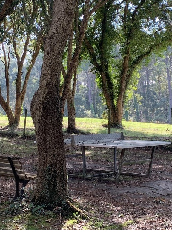 L'Escale Océane - photo 4
