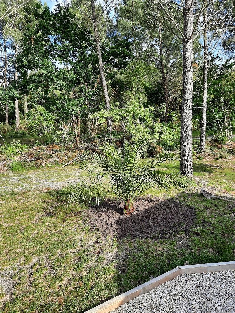 Les Colombages, Azur - photo 21