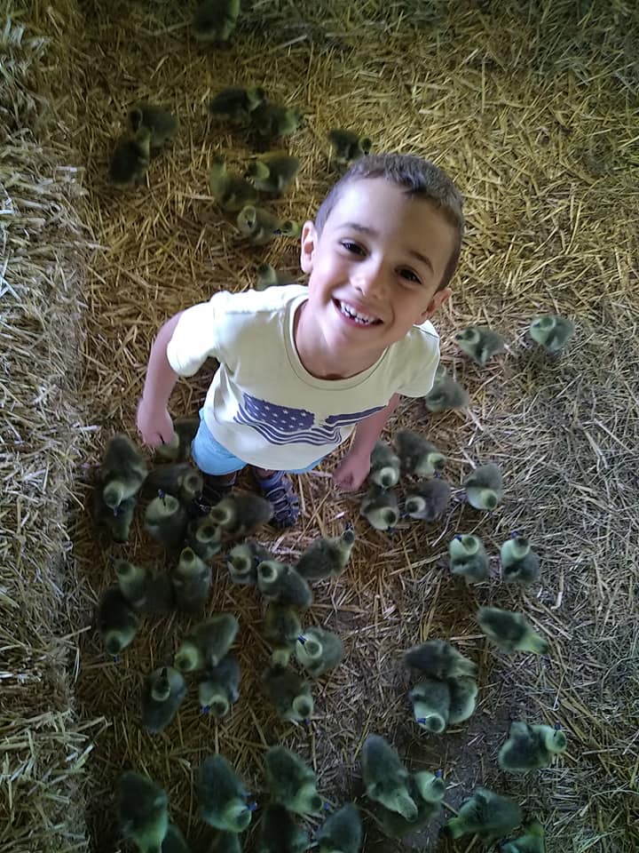 EARL La Barraque - Mella et fils