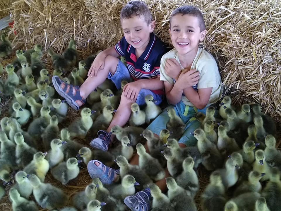 EARL La Barraque - Mella et fils - photo 3