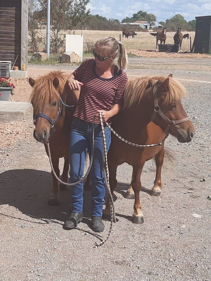 Club hippique Argentonnais