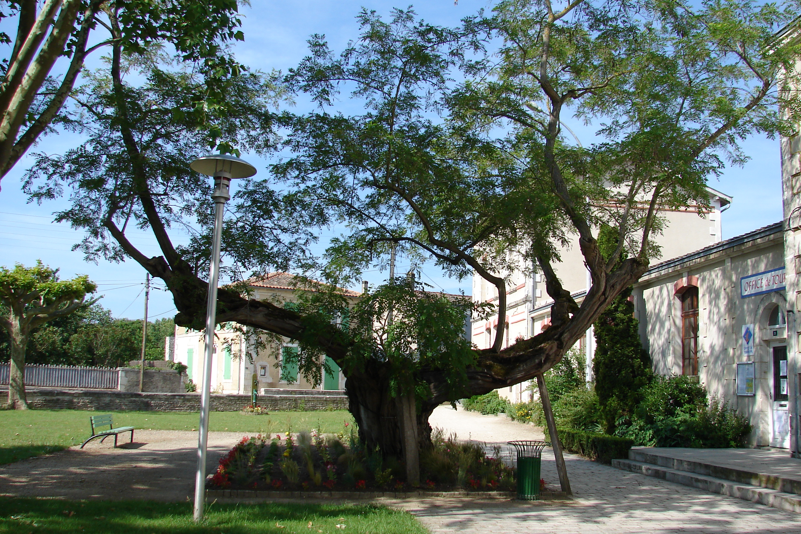 Saint-Hilaire-la-Palud, capitale du Marais sauvage, Saint-Hilaire-la-Palud - photo 4