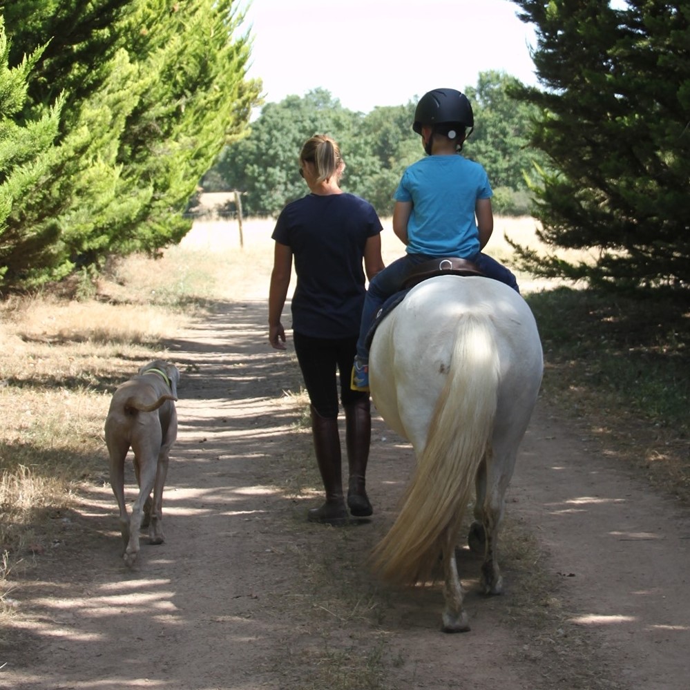 Club hippique Argentonnais, Genneton - photo 7