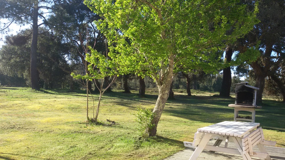 Gîte La Jauguette, Naujac-sur-Mer - photo 5