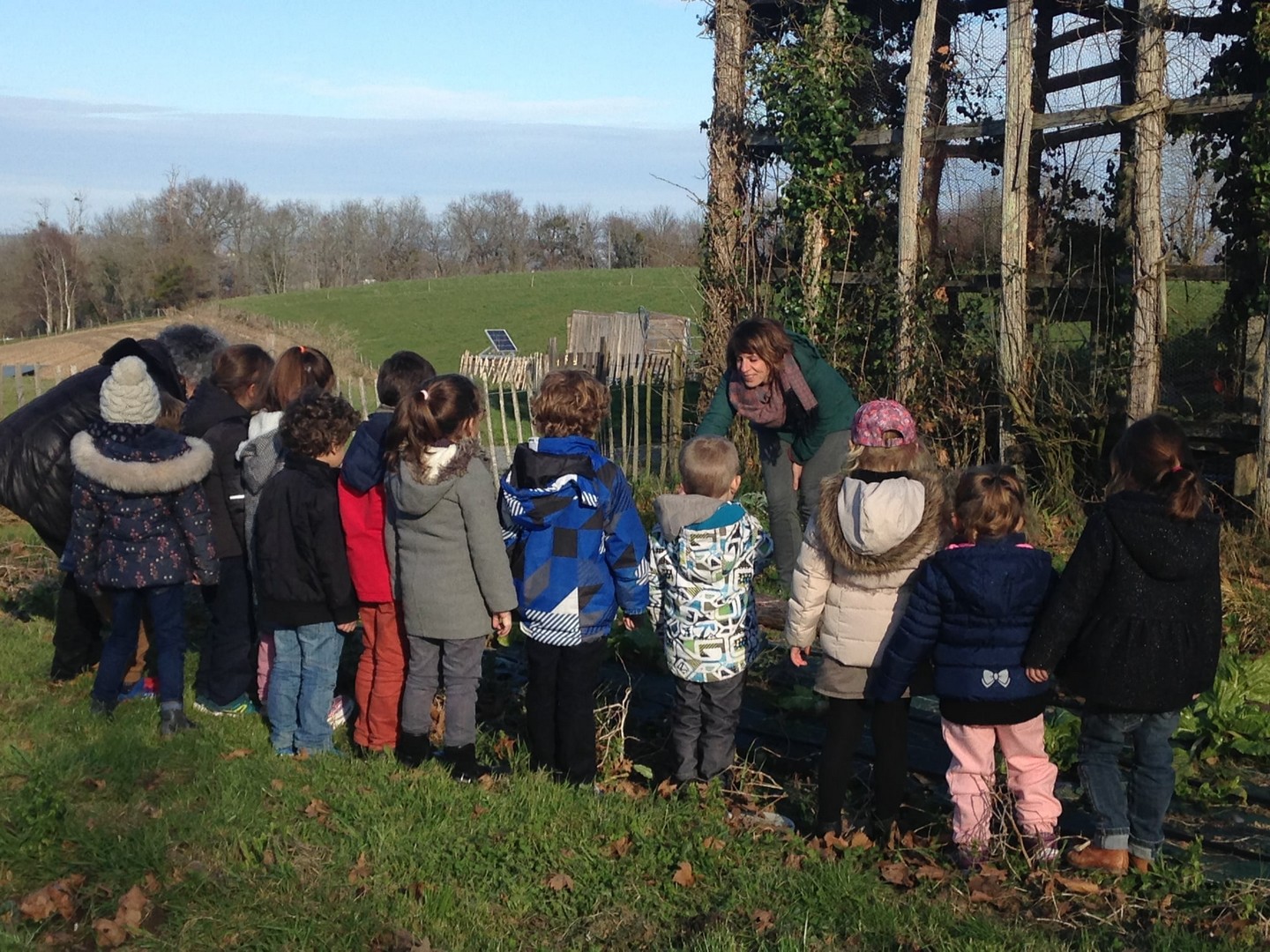 Lacaze aux Sottises, Orion - photo 5