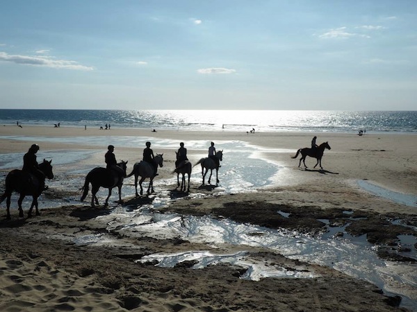 Centre Equestre de Périgueys