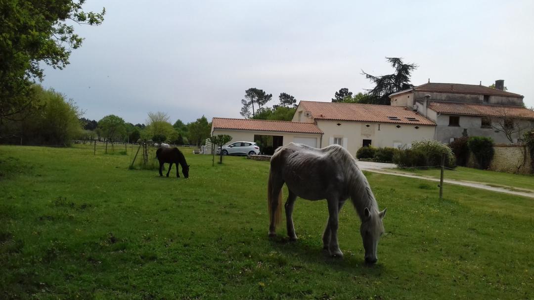 Gîte Les Prés de Courreau, Vendays-Montalivet - photo 3