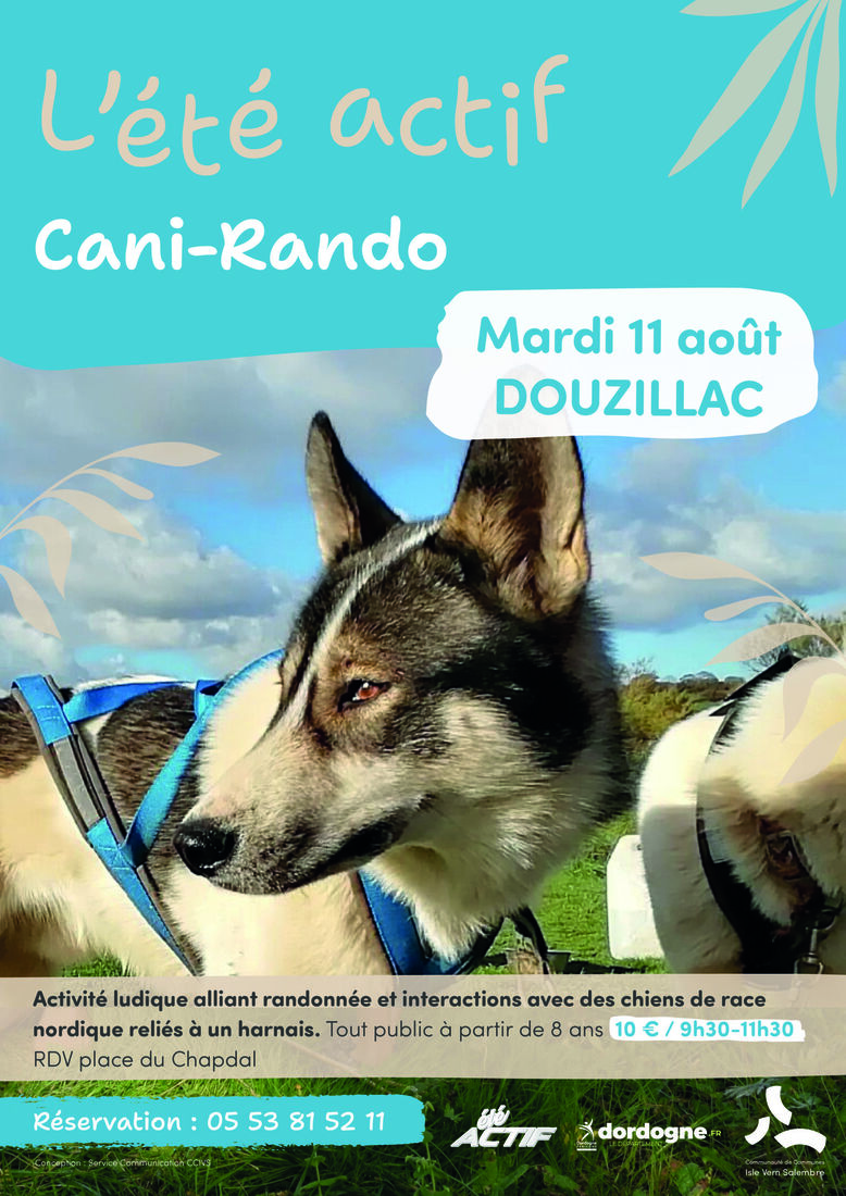 Été actif : Cani-rando