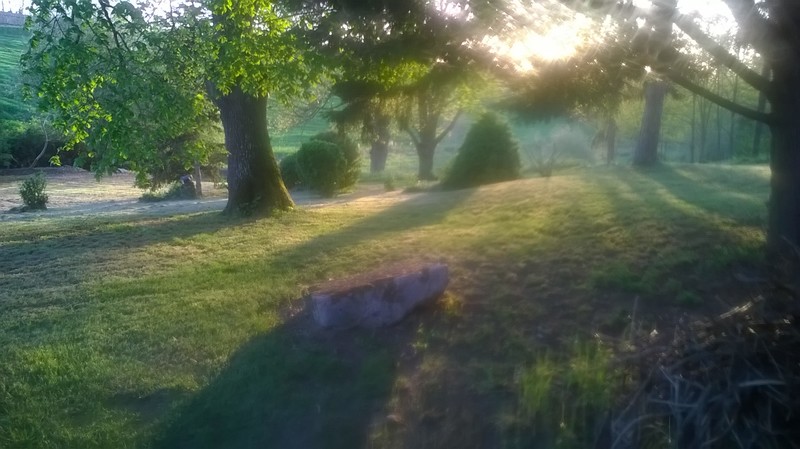 Le Logis du Pradet, Moncrabeau - photo 10
