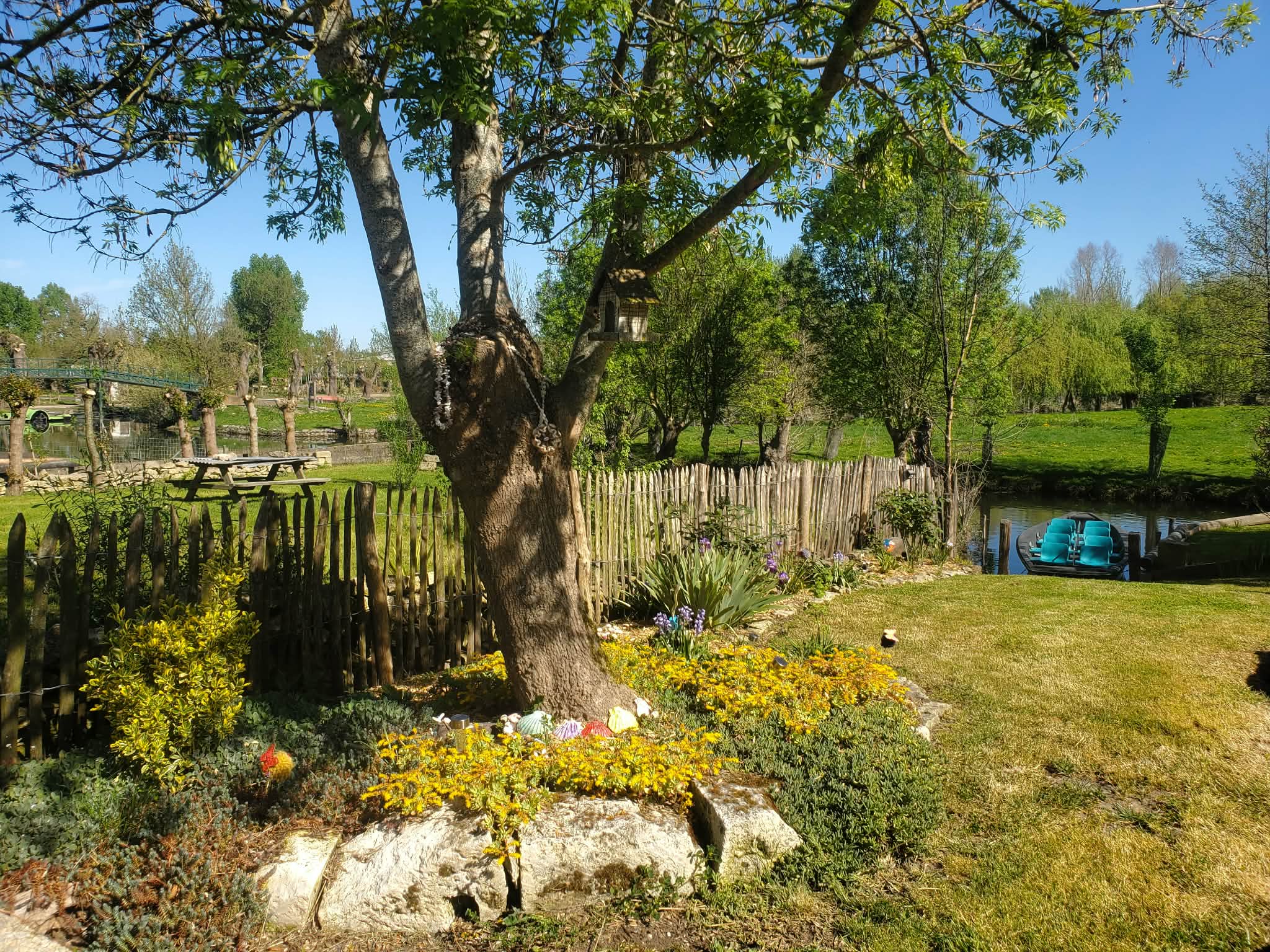 La libellule, Le Vanneau-Irleau - photo 15