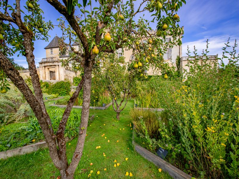 Parc du Château de Vayres, Vayres - photo 5