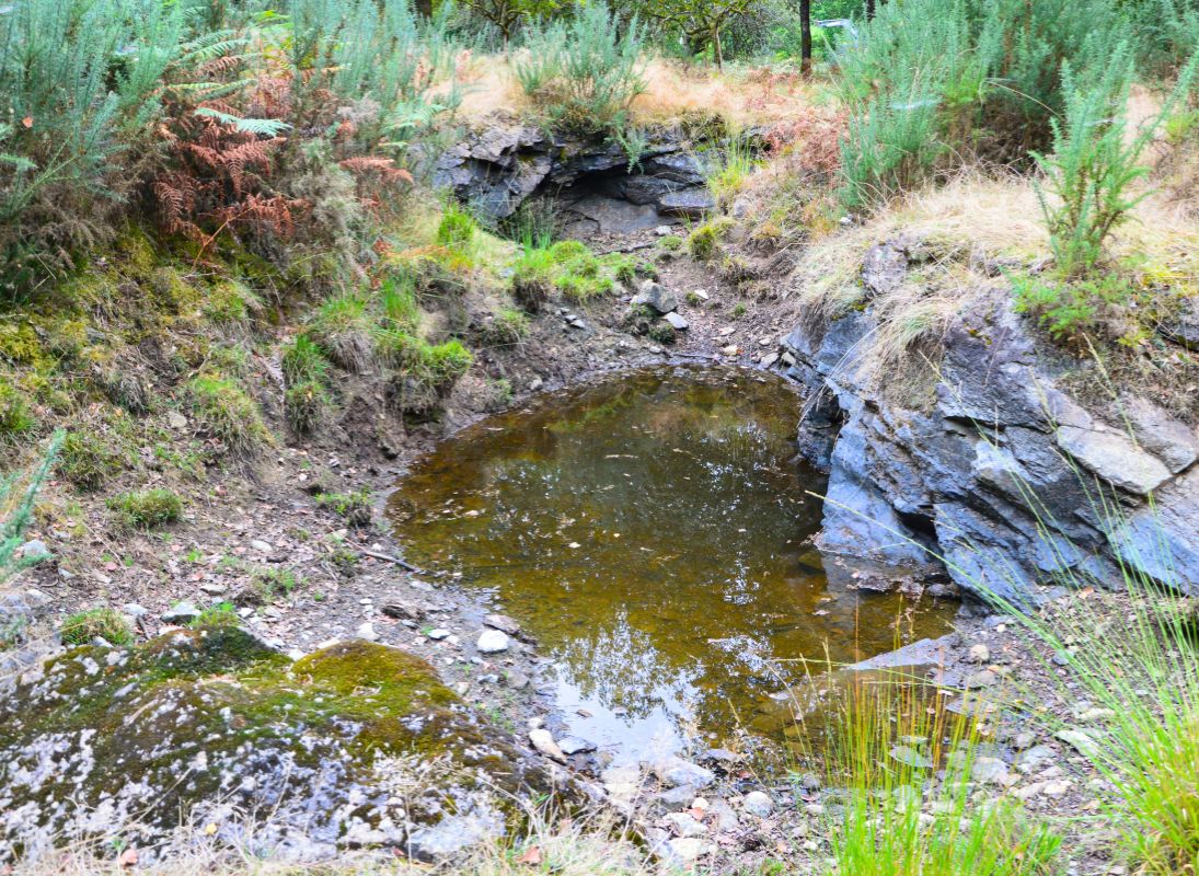 La Lande à serpentine de la Rousseille, Saint-Hilaire-les-Places