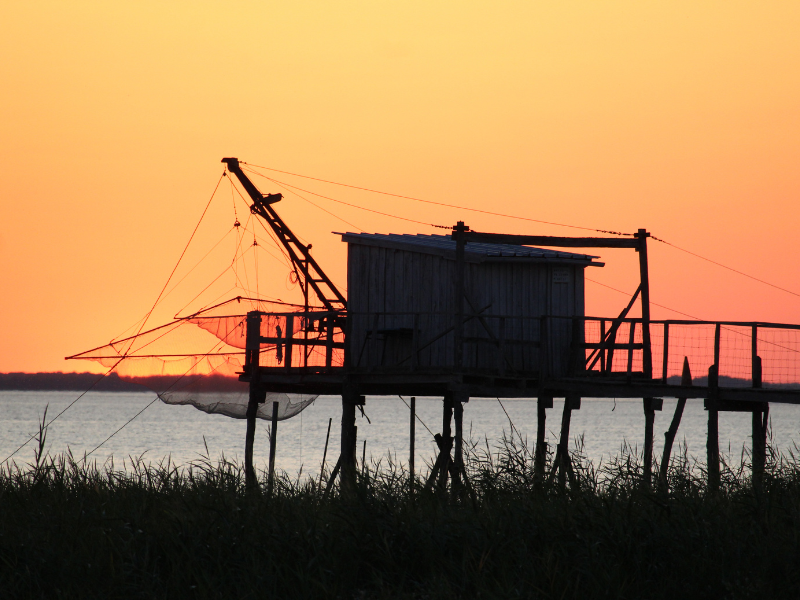 Croisière du dimanche sur l'estuaire à Terres d'Oiseaux, Braud-et-Saint-Louis - photo 2